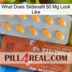 What Does Sildenafil 50 Mg Look Like 43